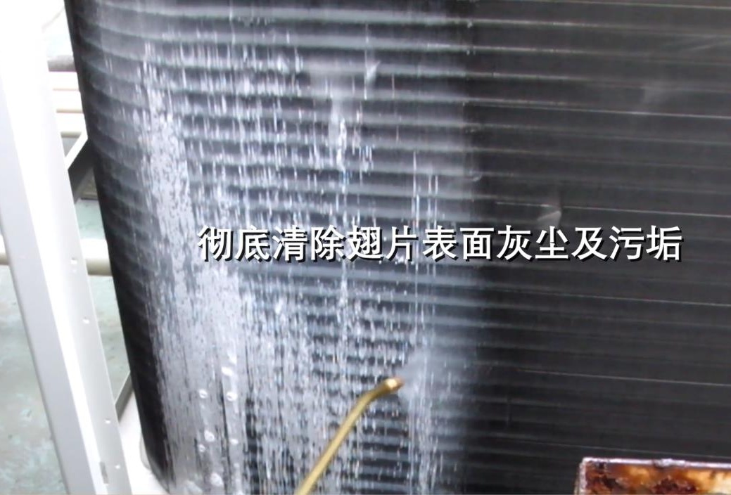 军团菌_图片1.jpg